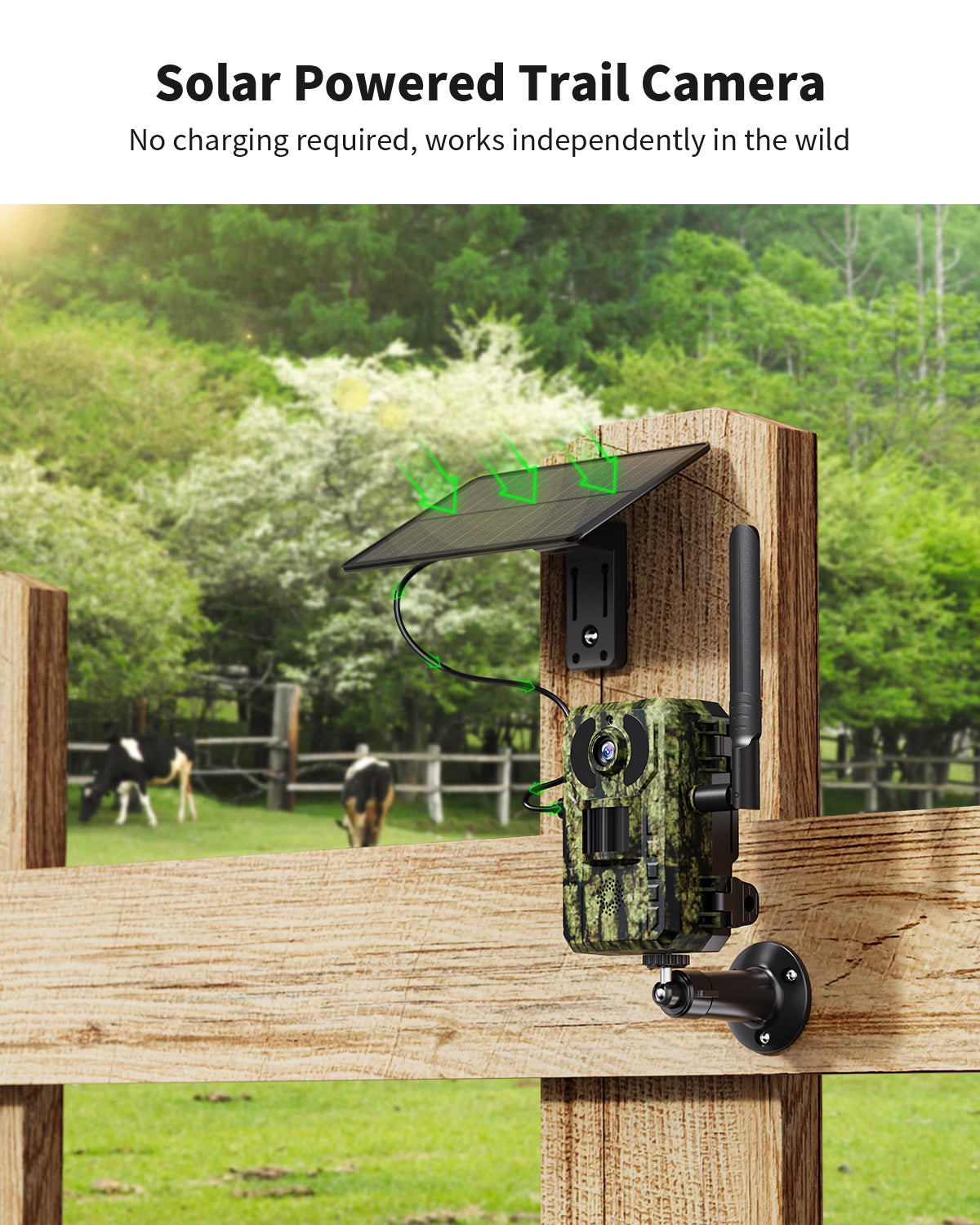 4G LTE 2.7K Live Cellular Trail Camera（RBX-H10）