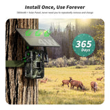 4G LTE Cellular Trail Cameras（RBX-H10）